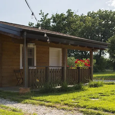 Evolution Camp ゲストハウス