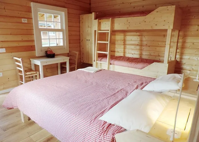 Evolution Camp Pensión 2*