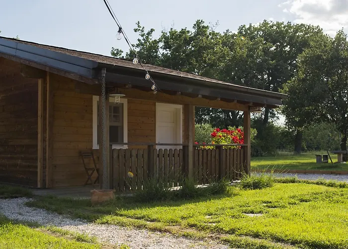 Evolution Camp Guest house